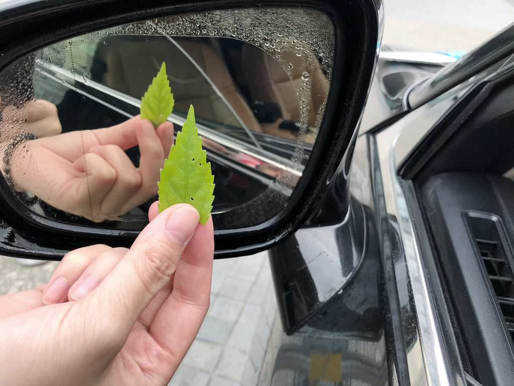 CAXVINYL Car Rearview Mirror Rainproof Film – CAXVINYL